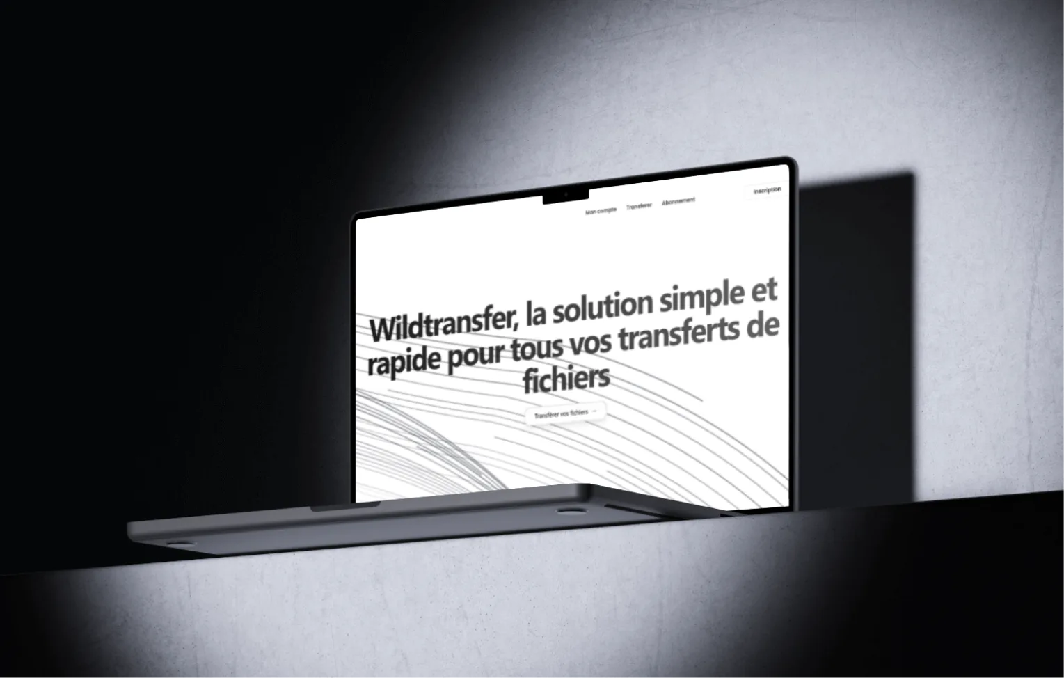 Capture du projet Wildtransfer